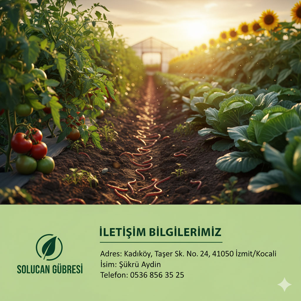 Supersolucan galeri görseli 6